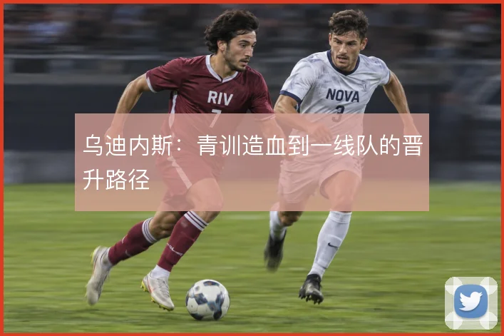 乌迪内斯：青训造血到一线队的晋升路径