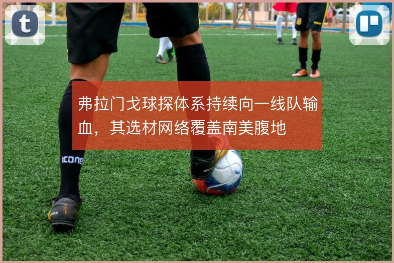弗拉门戈球探体系持续向一线队输血，其选材网络覆盖南美腹地