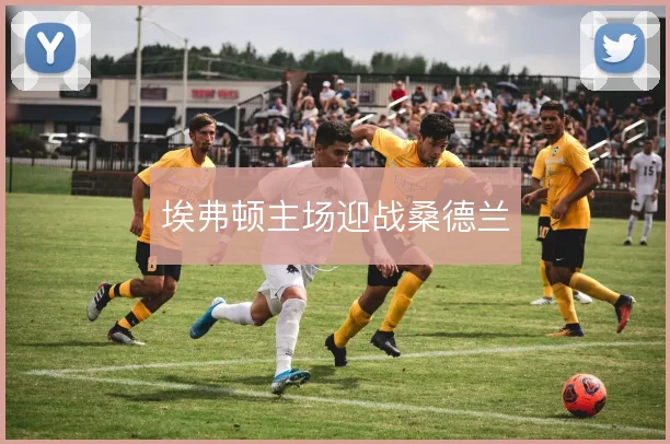 埃弗顿主场迎战桑德兰